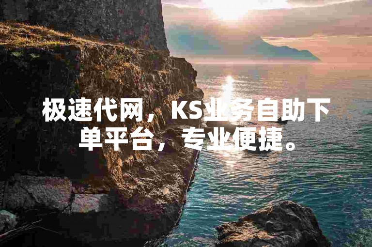 极速代网，KS业务自助下单平台，专业便捷。
