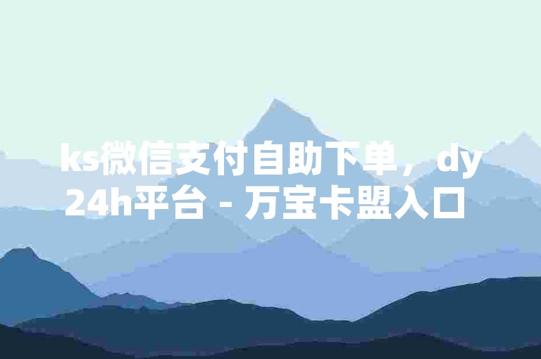 ks微信支付自助下单，dy24h平台 - 万宝卡盟入口 - 一元秒杀来袭！
