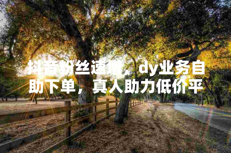 抖音粉丝速增，dy业务自助下单，真人助力低价平台。