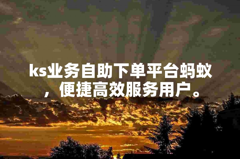 ks业务自助下单平台蚂蚁，便捷高效服务用户。