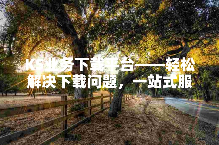 KS业务下载平台——轻松解决下载问题，一站式服务等你来体验。