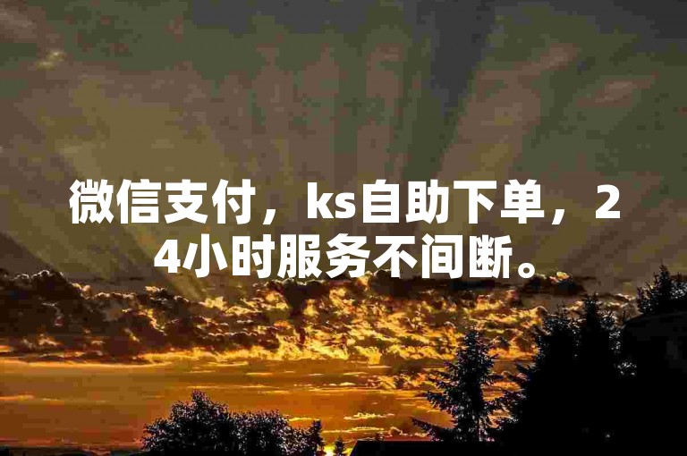 微信支付，ks自助下单，24小时服务不间断。