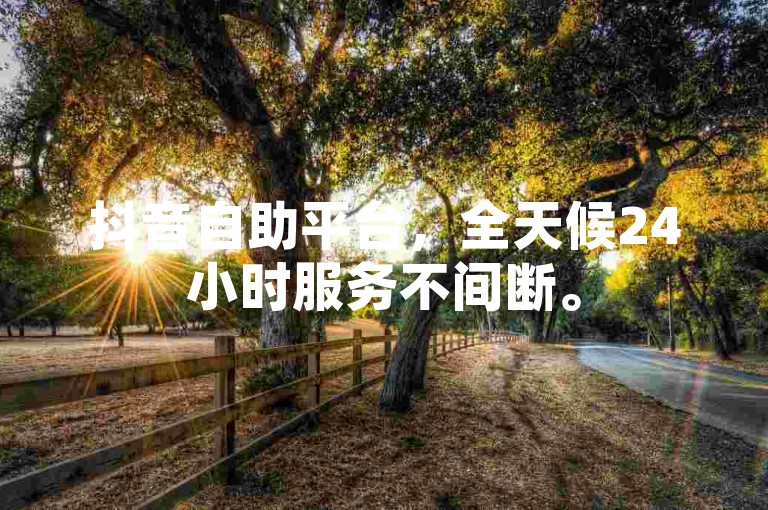 抖音自助平台，全天候24小时服务不间断。
