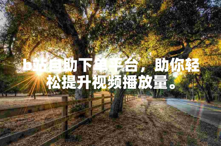 b站自助下单平台，助你轻松提升视频播放量。