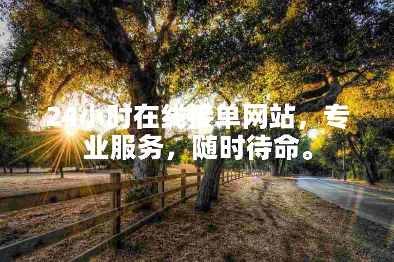 24小时在线接单网站，专业服务，随时待命。