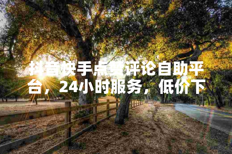 抖音快手点赞评论自助平台，24小时服务，低价下单链接揭秘！