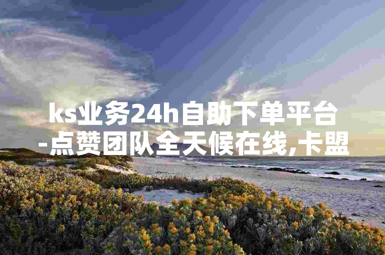 ks业务24h自助下单平台-点赞团队全天候在线,卡盟服务不间断。