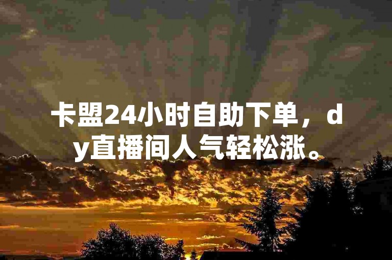 卡盟24小时自助下单，dy直播间人气轻松涨。