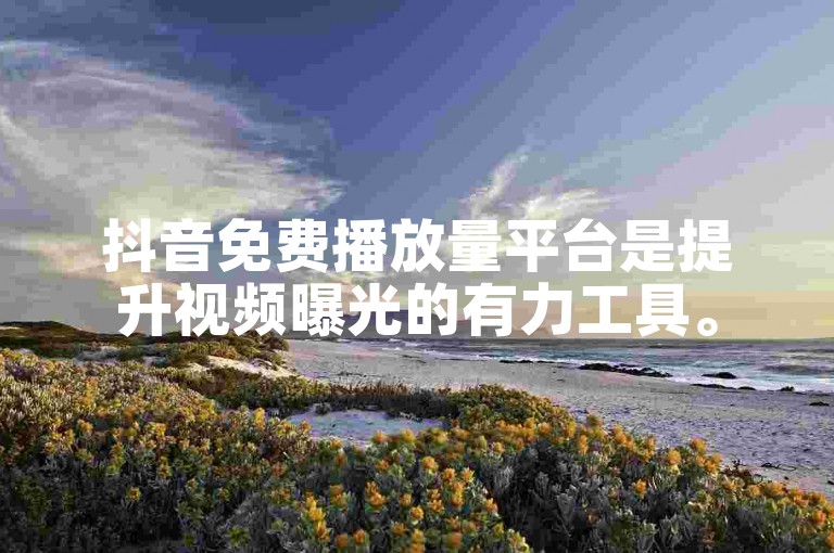 抖音免费播放量平台是提升视频曝光的有力工具。