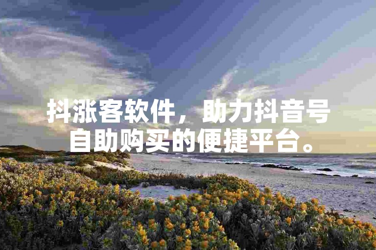 抖涨客软件，助力抖音号自助购买的便捷平台。