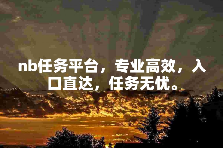 nb任务平台，专业高效，入口直达，任务无忧。