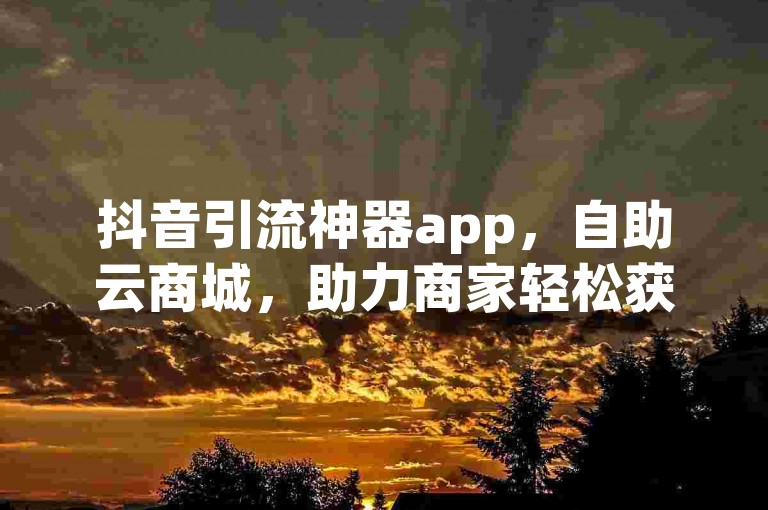 抖音引流神器app，自助云商城，助力商家轻松获客。