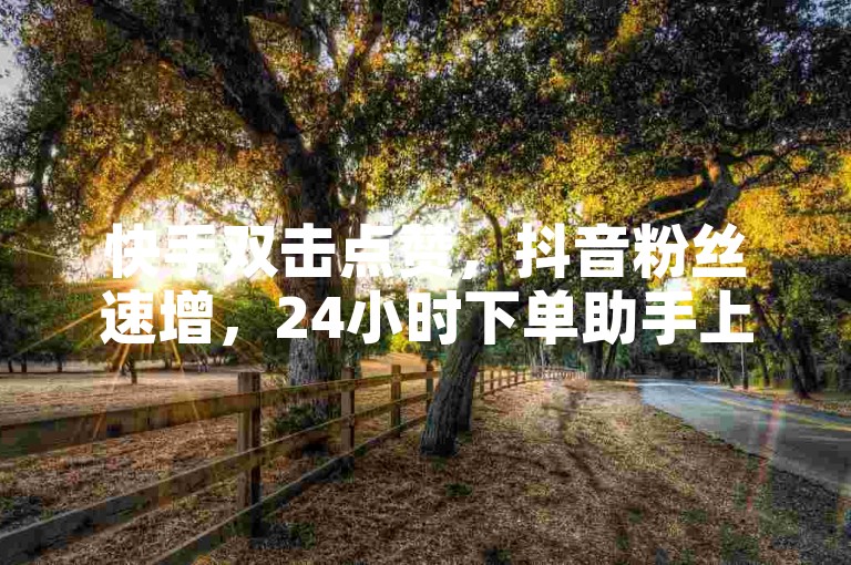 快手双击点赞，抖音粉丝速增，24小时下单助手上线！