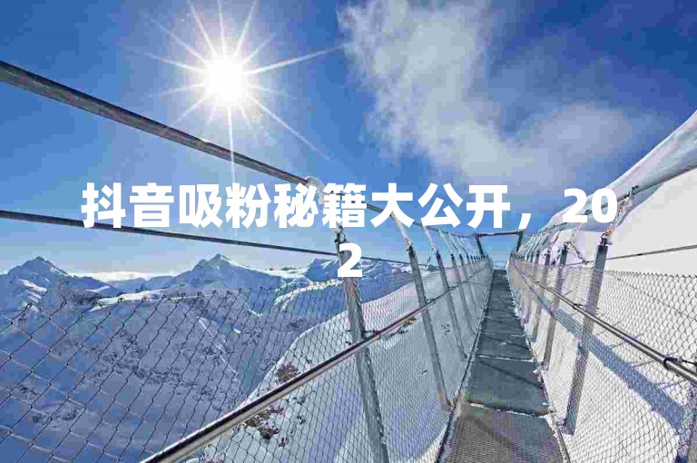 抖音吸粉秘籍大公开，2025年轻松涨粉不是梦！