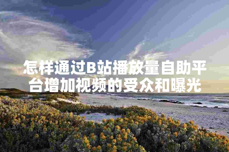 怎样通过B站播放量自助平台增加视频的受众和曝光度？