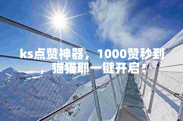 ks点赞神器，1000赞秒到，猫猫耶一键开启！