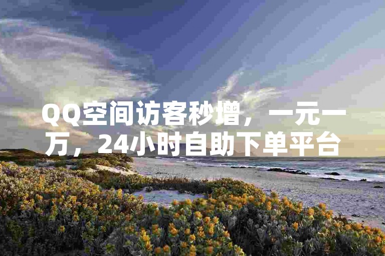 QQ空间访客秒增，一元一万，24小时自助下单平台！