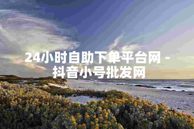 24小时自助下单平台网 - 抖音小号批发网