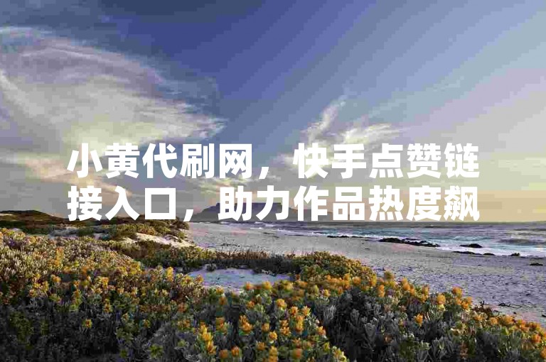 小黄代刷网，快手点赞链接入口，助力作品热度飙升。