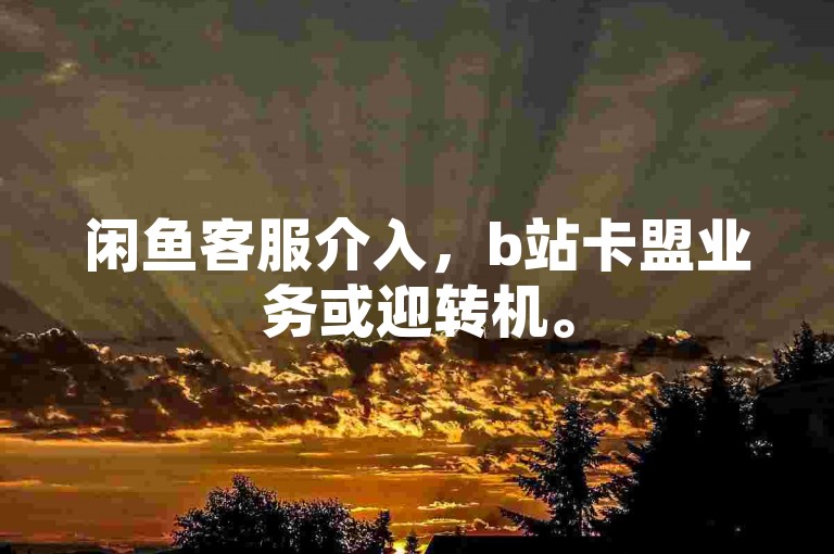 闲鱼客服介入，b站卡盟业务或迎转机。