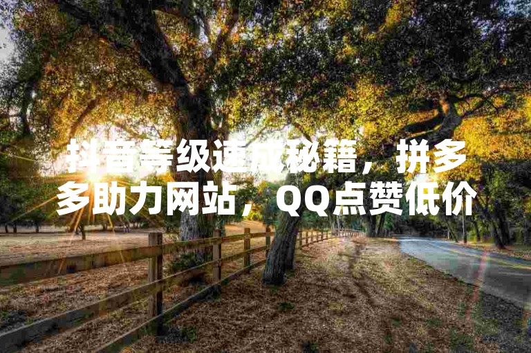 抖音等级速成秘籍，拼多多助力网站，QQ点赞低价服务。