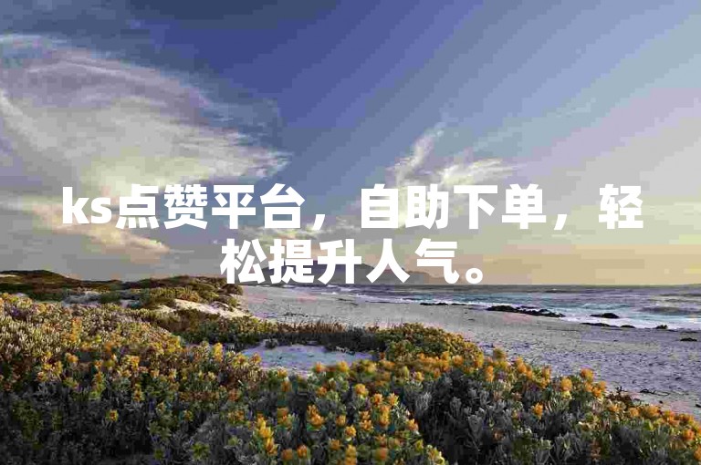 ks点赞平台，自助下单，轻松提升人气。