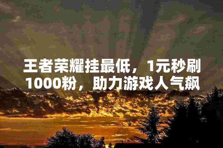 王者荣耀挂最低，1元秒刷1000粉，助力游戏人气飙升。