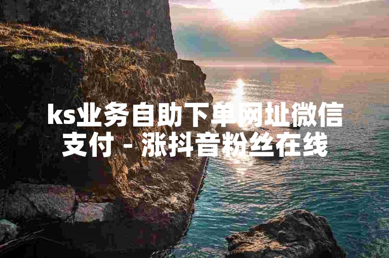 ks业务自助下单网址微信支付 - 涨抖音粉丝在线