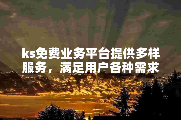 ks免费业务平台提供多样服务，满足用户各种需求。