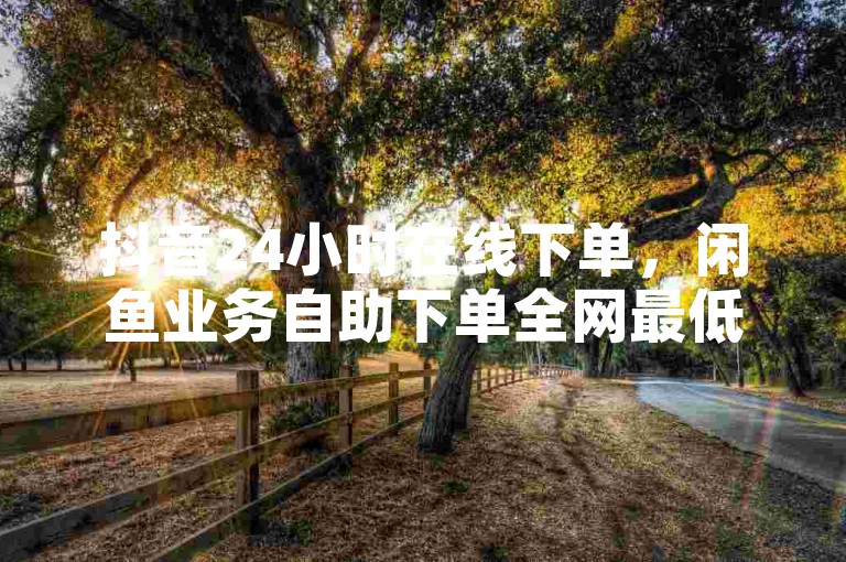 抖音24小时在线下单，闲鱼业务自助下单全网最低价。