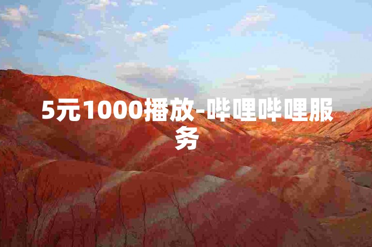 5元1000播放-哔哩哔哩服务