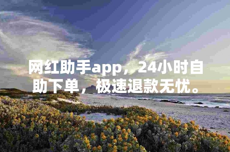 网红助手app，24小时自助下单，极速退款无忧。