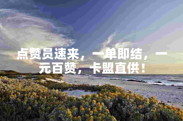 点赞员速来，一单即结，一元百赞，卡盟直供！