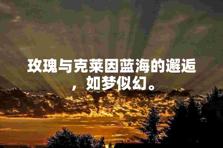玫瑰与克莱因蓝海的邂逅，如梦似幻。