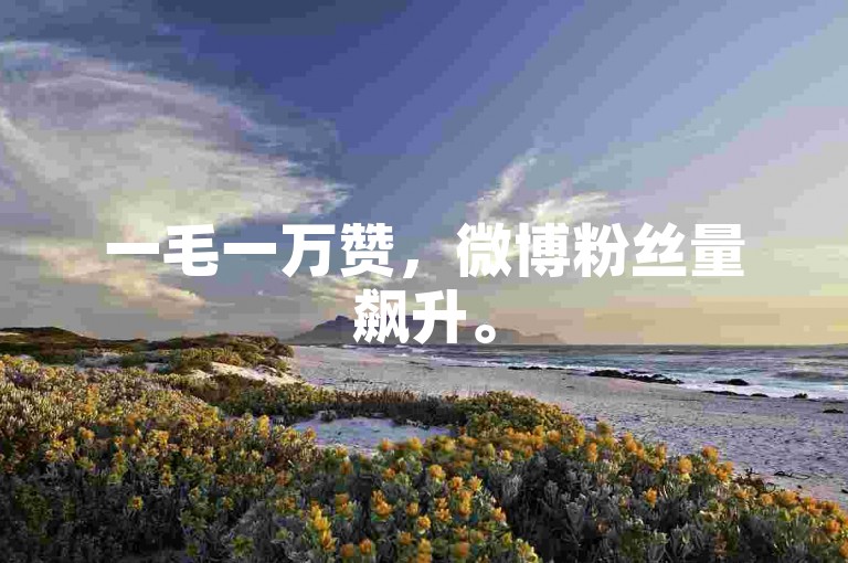 一毛一万赞，微博粉丝量飙升。