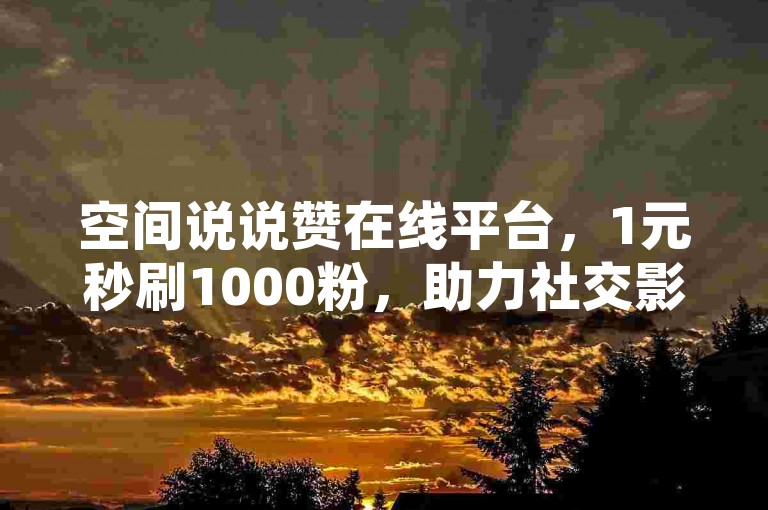 空间说说赞在线平台，1元秒刷1000粉，助力社交影响力提升。