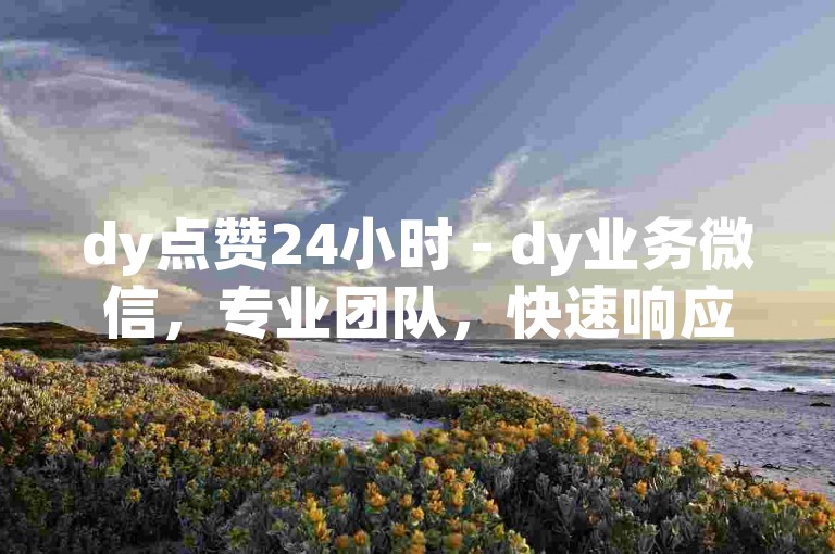 dy点赞24小时 - dy业务微信，专业团队，快速响应。