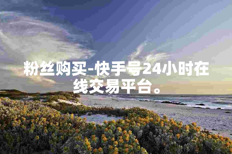 粉丝购买-快手号24小时在线交易平台。