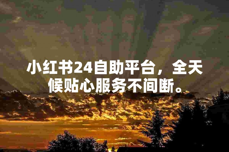 小红书24自助平台，全天候贴心服务不间断。