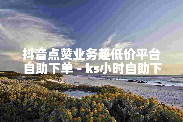 抖音点赞业务超低价平台自助下单 - ks小时自助下单平台网站。