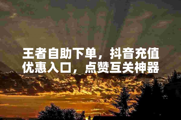 王者自助下单，抖音充值优惠入口，点赞互关神器。
