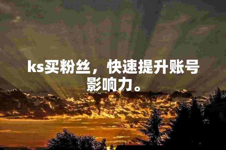 ks买粉丝，快速提升账号影响力。
