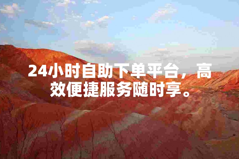24小时自助下单平台，高效便捷服务随时享。