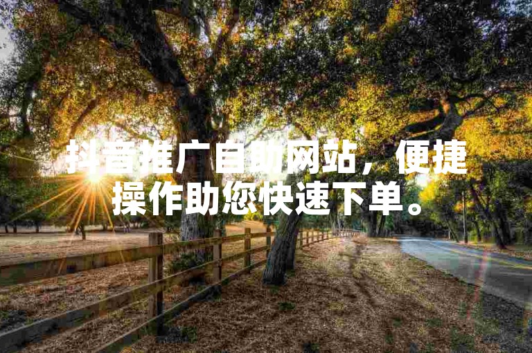 抖音推广自助网站，便捷操作助您快速下单。