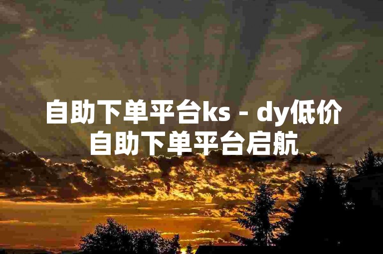 自助下单平台ks - dy低价自助下单平台启航