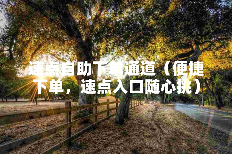 速点自助下单通道（便捷下单，速点入口随心挑）
