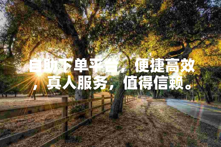 自助下单平台，便捷高效，真人服务，值得信赖。