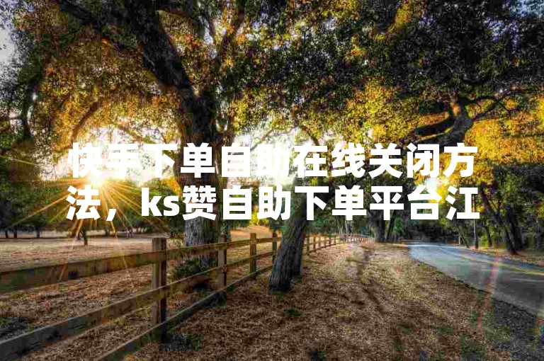 快手下单自助在线关闭方法，ks赞自助下单平台江西。