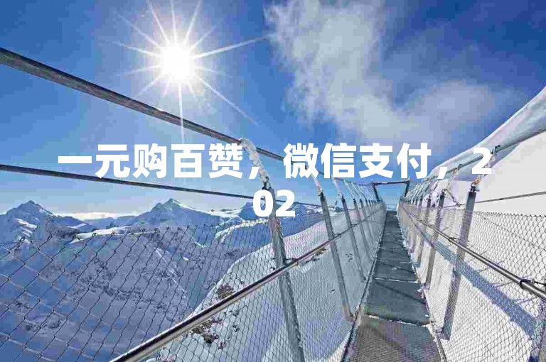 一元购百赞，微信支付，2025必备秘籍！