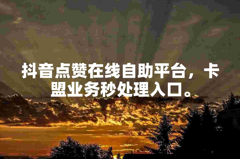 抖音点赞在线自助平台，卡盟业务秒处理入口。